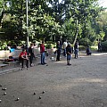 IMG_3073.jpg